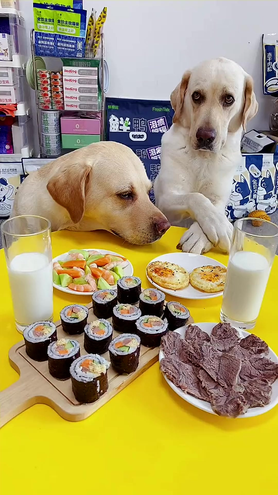 狗子的四菜一汤好几天没给狗子做好吃的了,安排