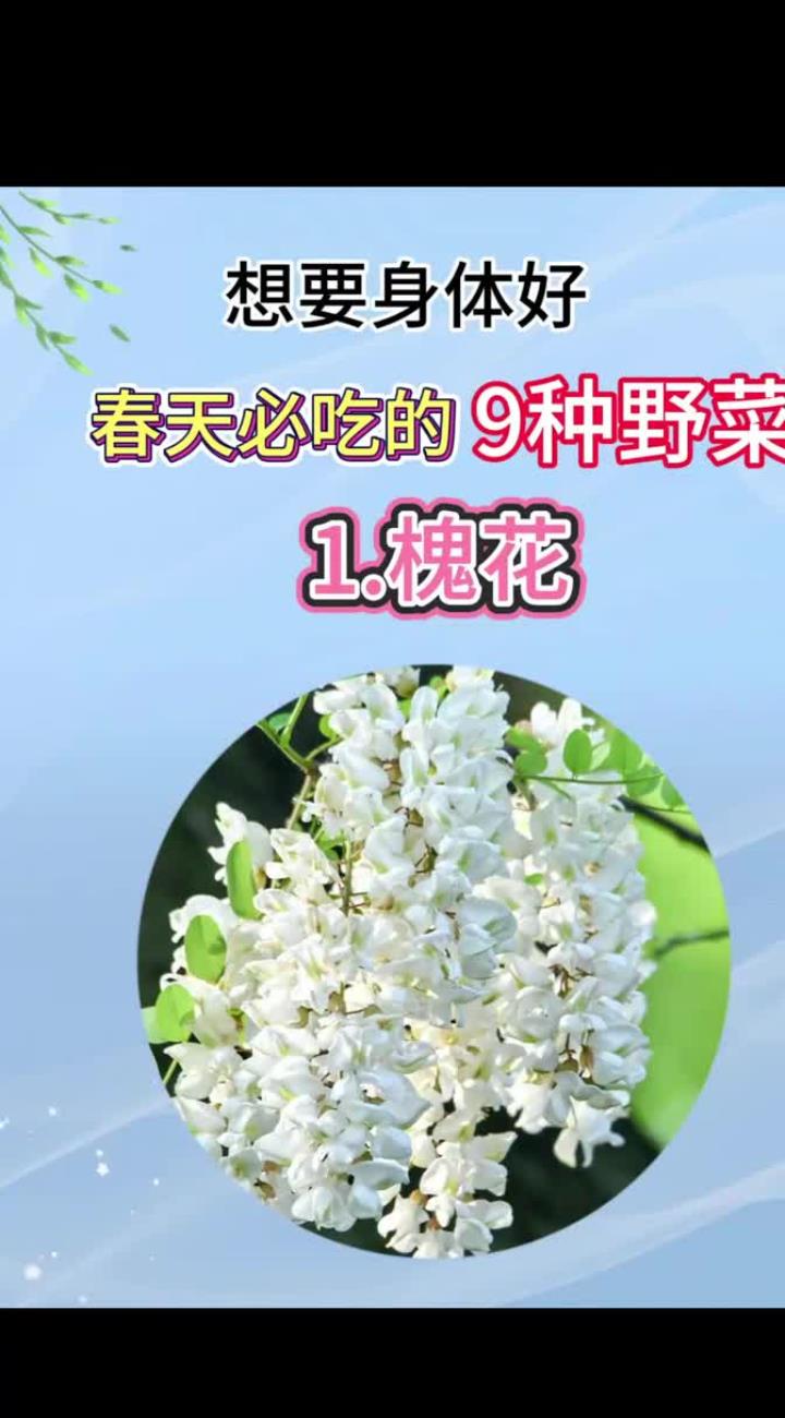 春天必吃这九种野菜身体好到没朋友