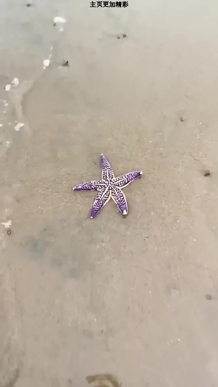 秋季的皮皮虾最是肥沃,里面全是黄