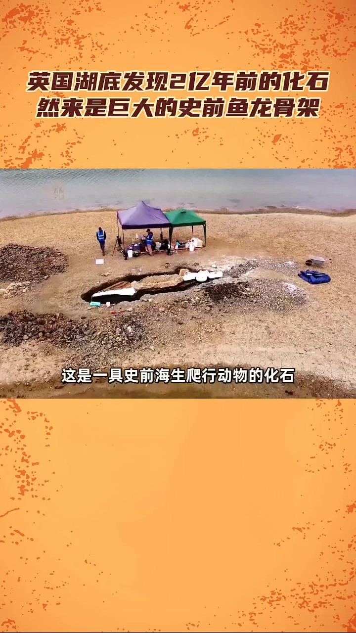 英国湖泊底部发现2亿年前鱼龙化石遗骸，揭示史前生物的庞大骨架