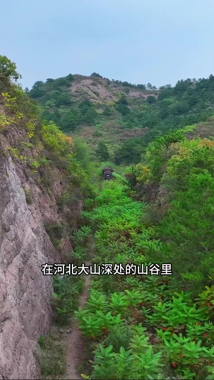 废弃蒸汽机车穿越市区的往日辉煌与今日宁静