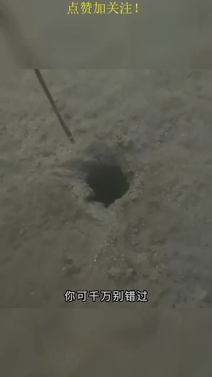 户外捕鱼:渔民来到水底寻找黄金皮皮虾