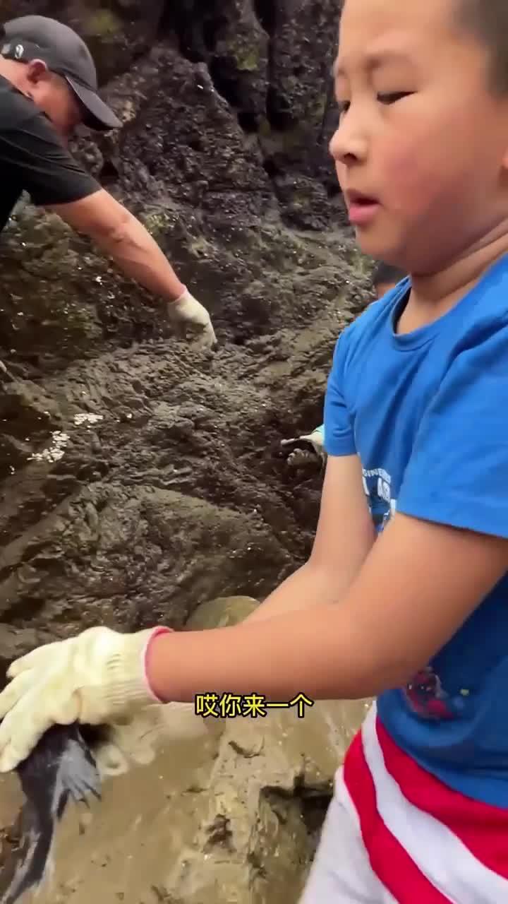 浙江粉丝趁暑假带孩子体验赶海，孩子争先恐后抓鱼，阿生今天偷懒一回
