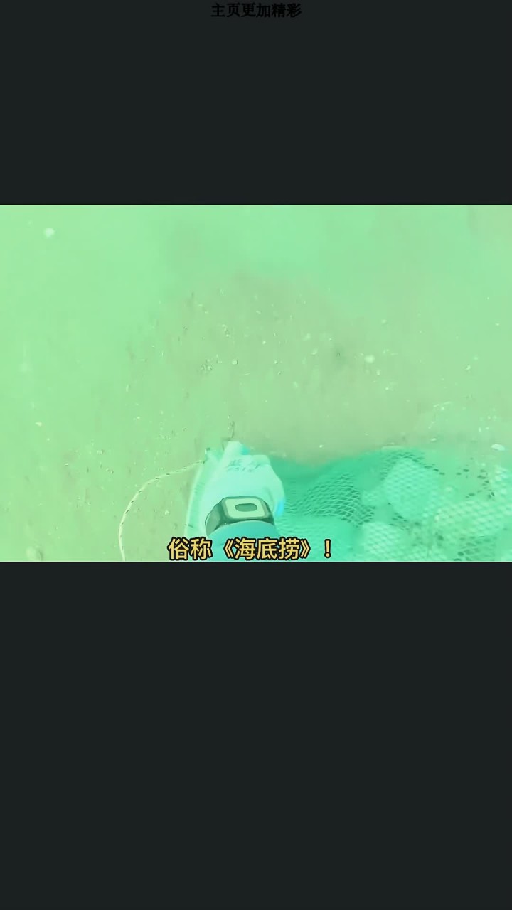 真实的海底抓海鲜,能抓到什么好货?