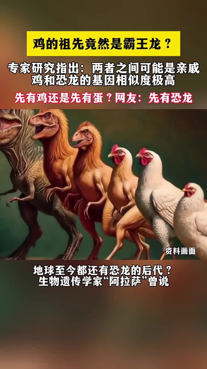 鸡的祖先是曾经的地球霸主？科学家：恐龙并没有完全灭绝 (1)