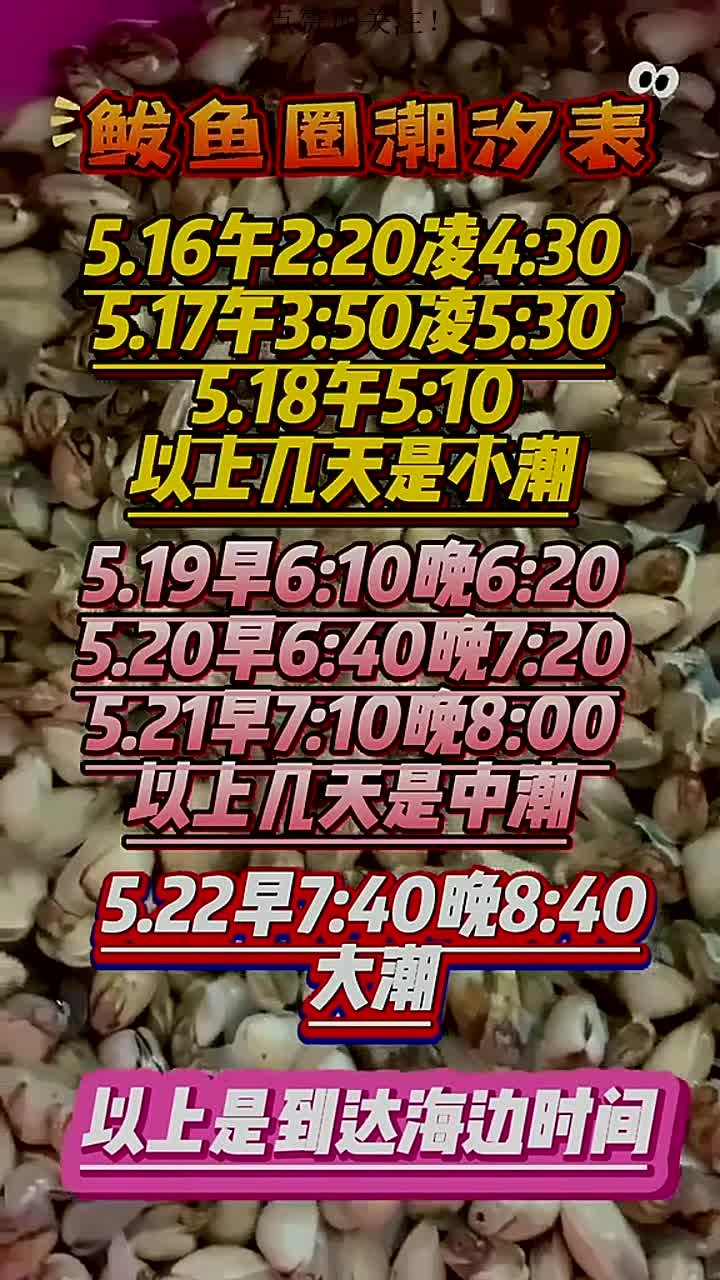 赶海潮汐表来喽