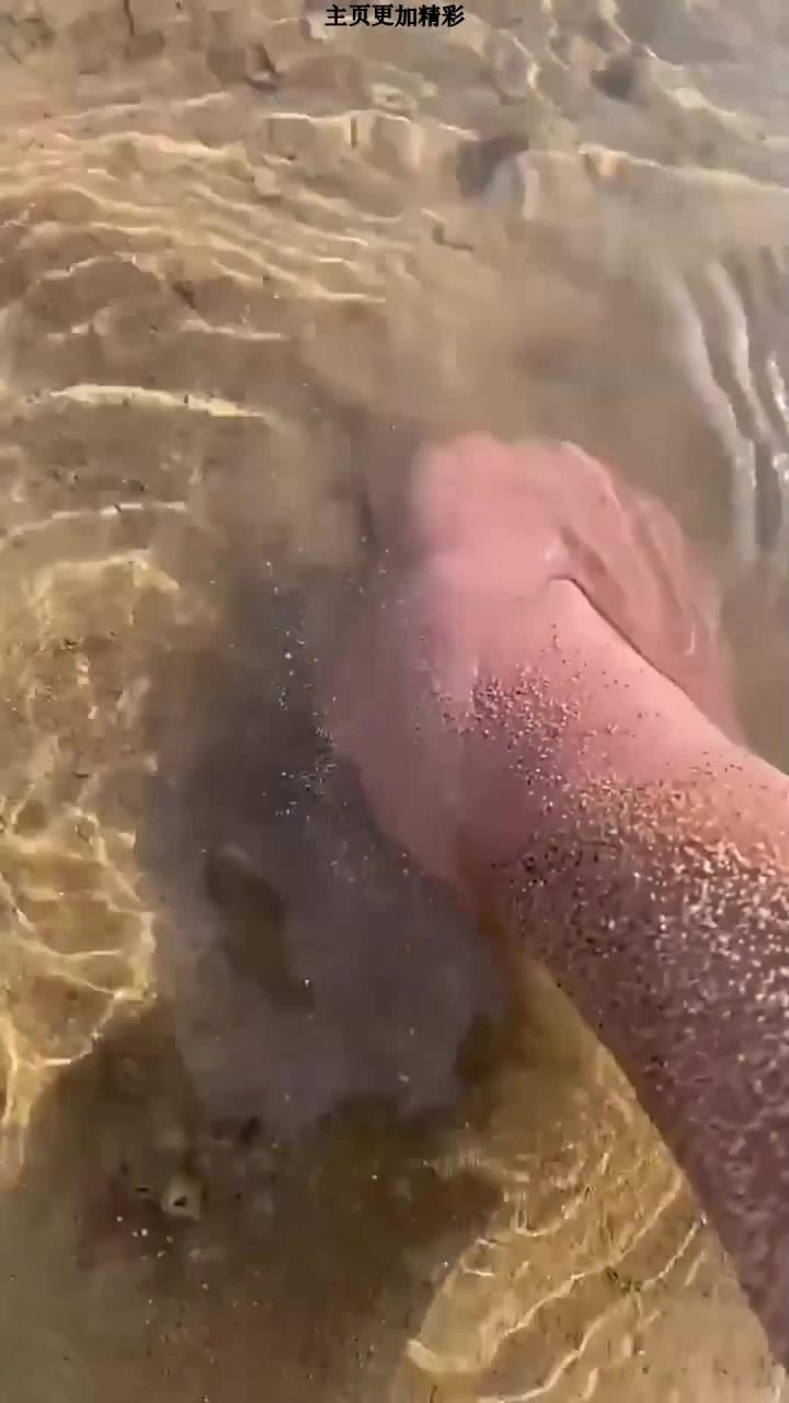 斑节虾,赶海抓海鲜,在浅水区搁浅了一只斑节虾,突出的眼睛显得萌萌的,彩色的尾巴更