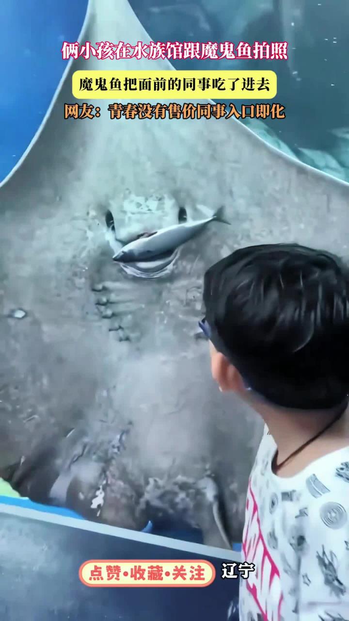 俩小孩在水族馆跟魔鬼鱼拍照,魔鬼鱼把面前的同事吃了进去,网友:青春没有售价同事入