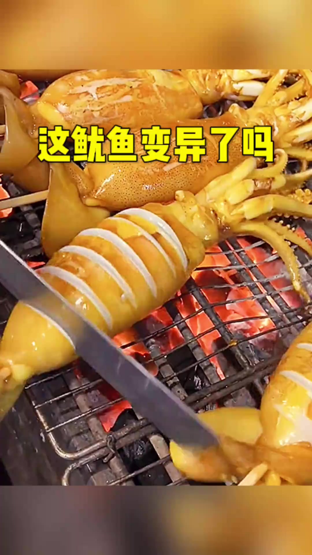 这鱿鱼变异了吗哈