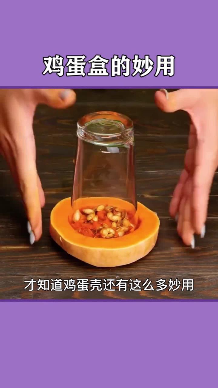 活了这么久才发现鸡蛋盒的这些巧妙用法!生活小技巧大揭秘