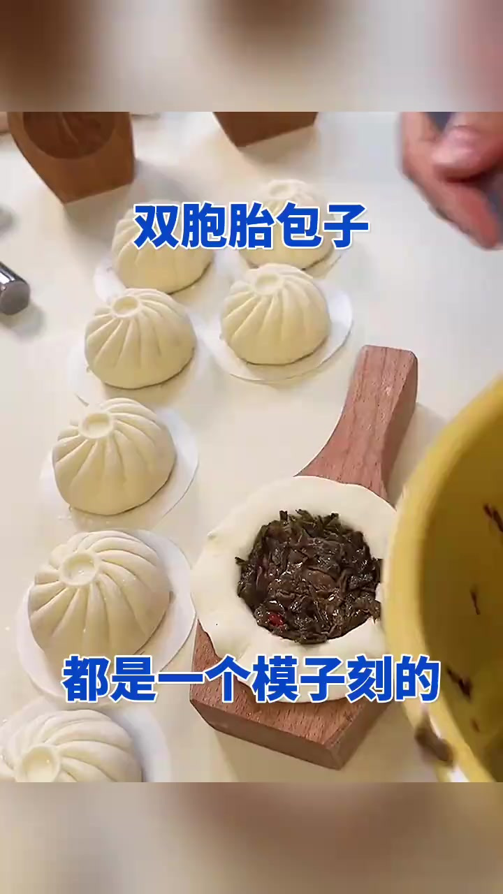 双胞胎包子都是一个模子刻的!