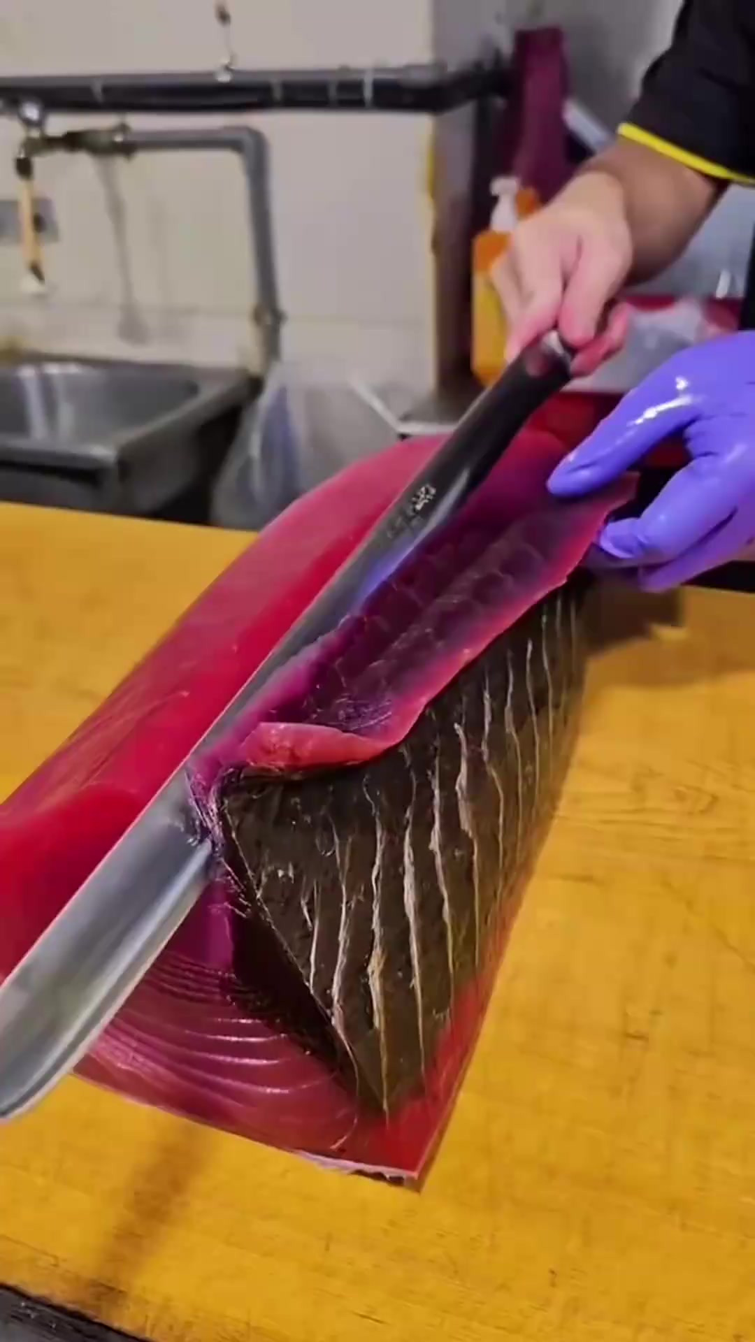 为什么金枪鱼的某些肉会这么深