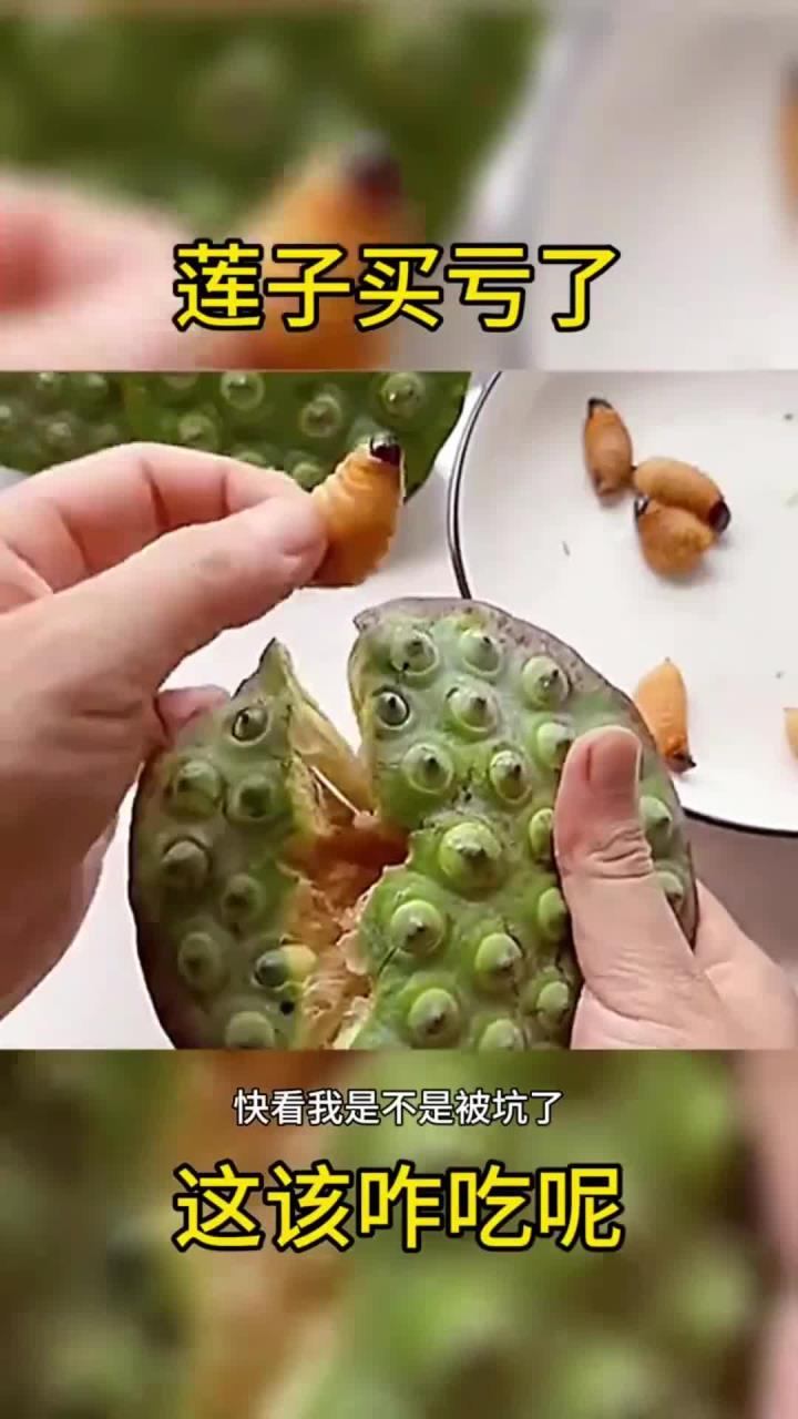 这莲子买亏了,里面这么多虫