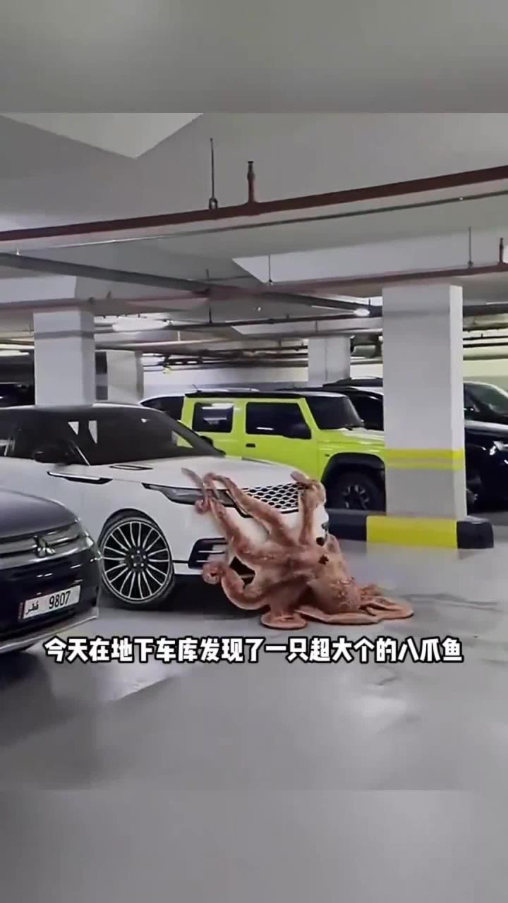 地库的八爪鱼,汽车都压塌了!