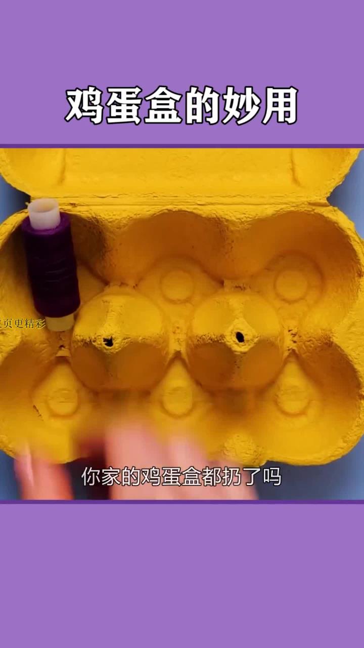 家里的鸡蛋盒别扔了,还有这些妙用生活小技巧 实用小妙招 生活小技巧学会你就捡到宝了
