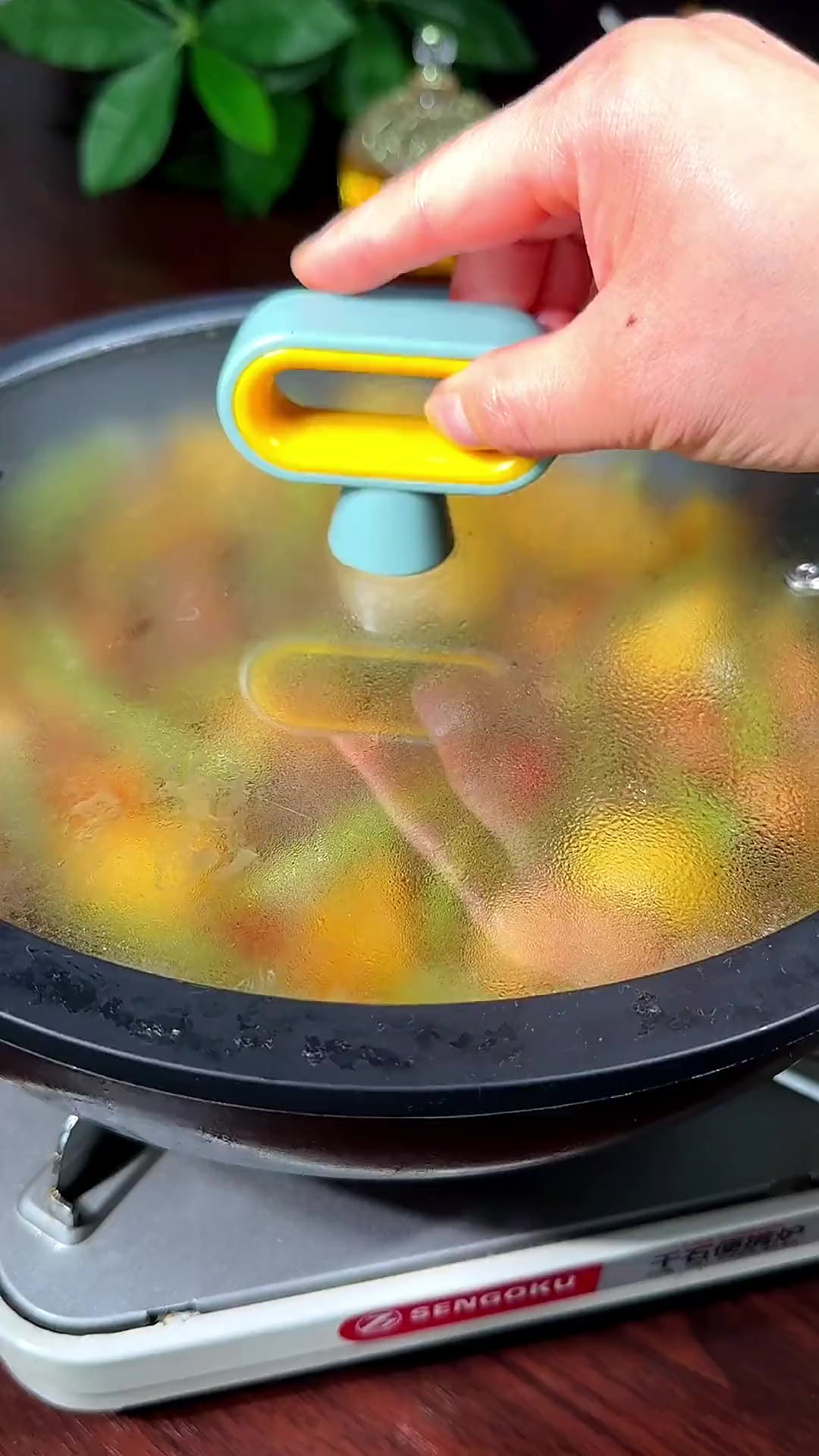 全家人都爱吃的豆角土豆炖粉条，黏糊糊的好吃又入味