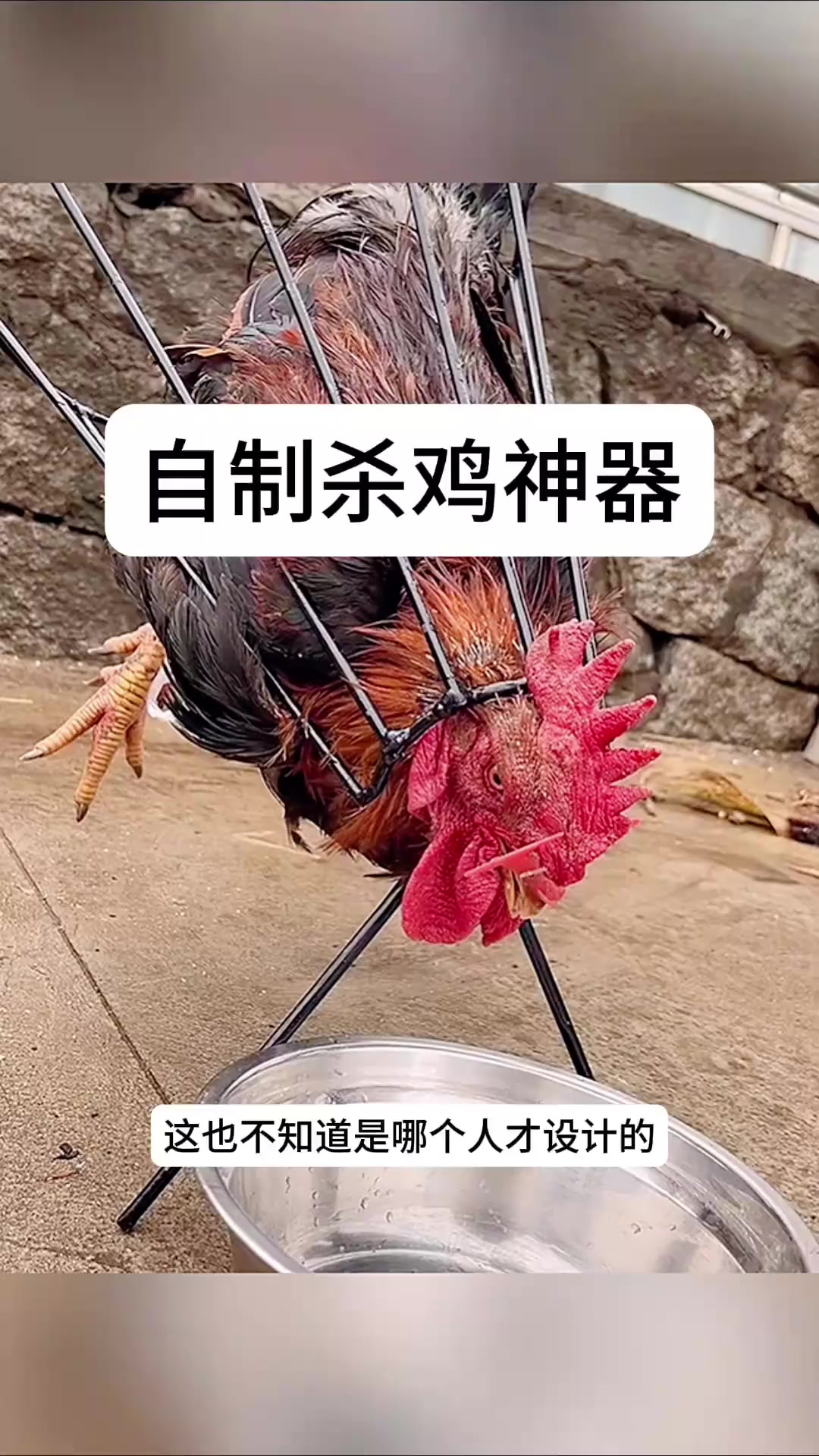 自制杀鸡神器,效果太好了
