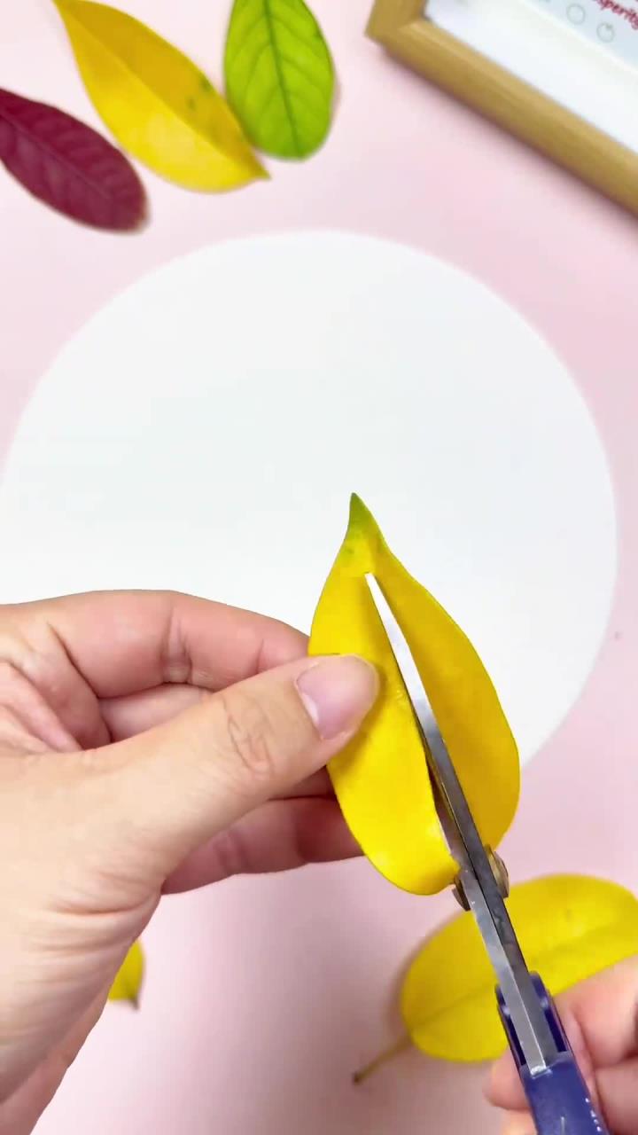 秋天来了,捡几片树叶一起做树叶创意画吧