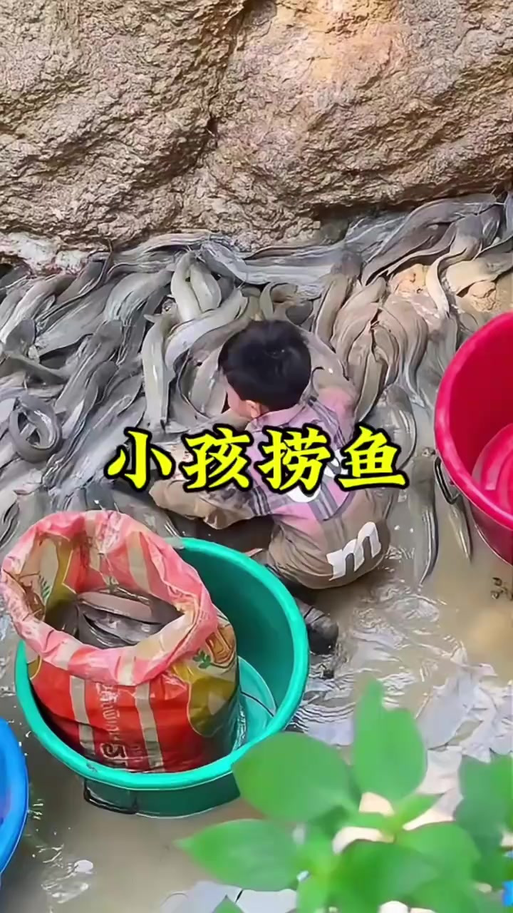 小身板大能耐:孩子捞鱼技艺让人赞叹不已