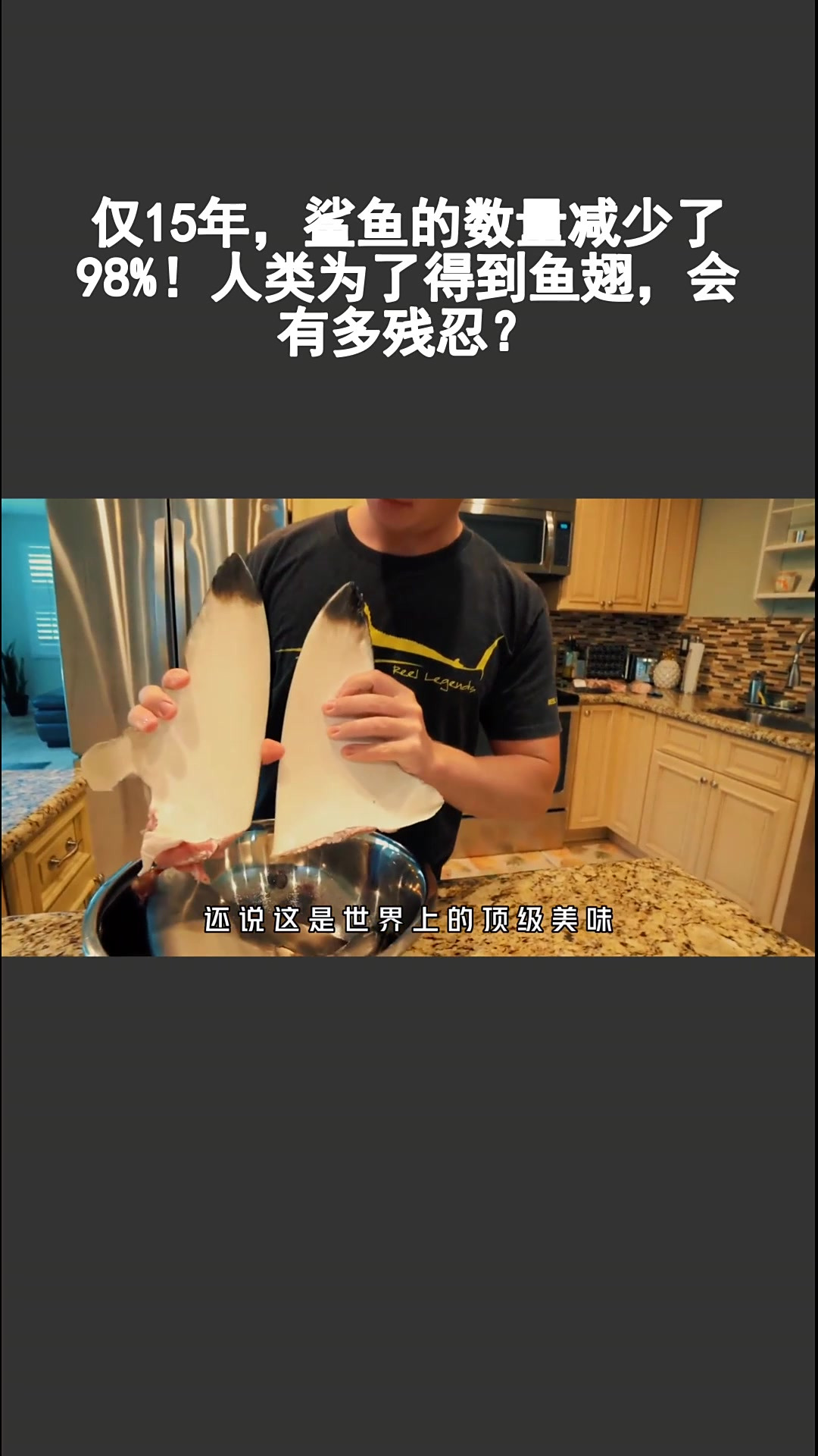 15 年鲨鱼锐减 98%,鱼翅背后的残忍真相!