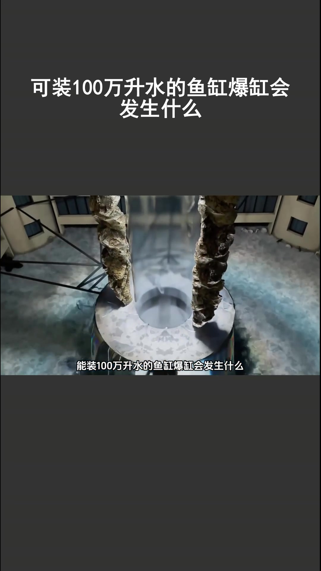 可装100万升水的鱼缸爆缸会发生什么