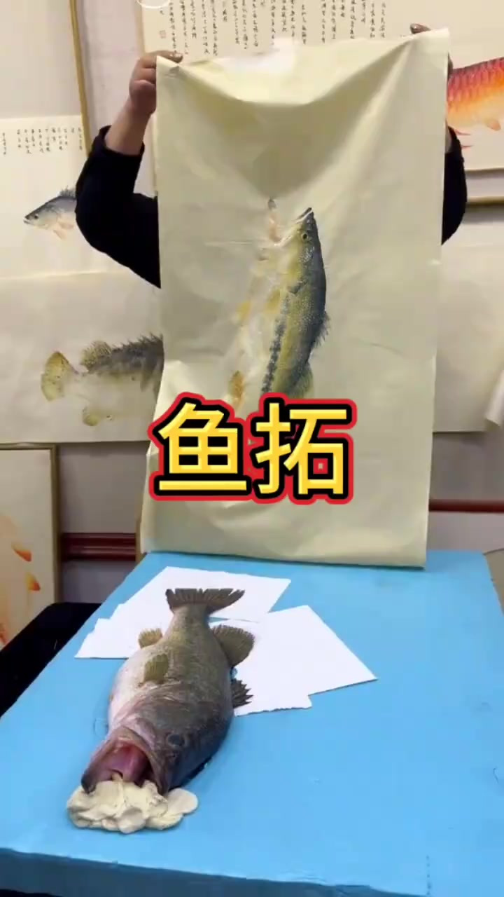 这样画鱼的方式你见过吗？
