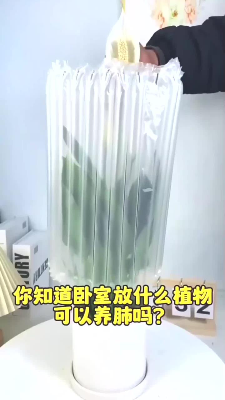 卧室放什么植物好