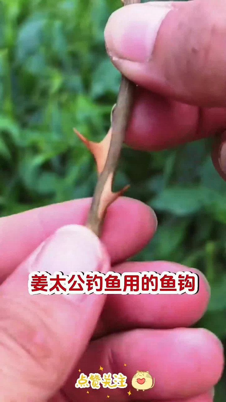 古人发明的鱼钩