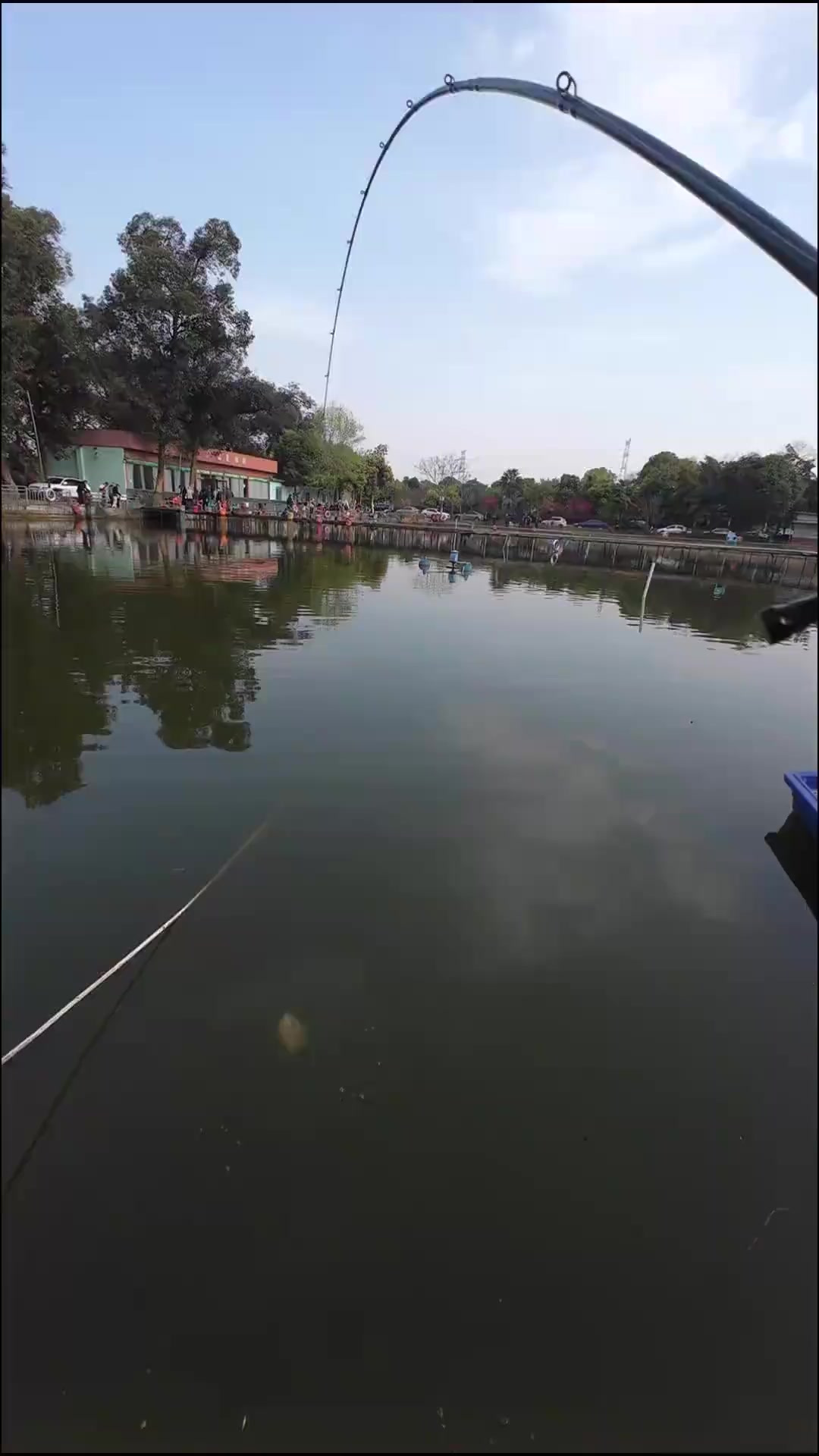 路亚黑坑太阳鱼，钓鱼人就是这么疯狂