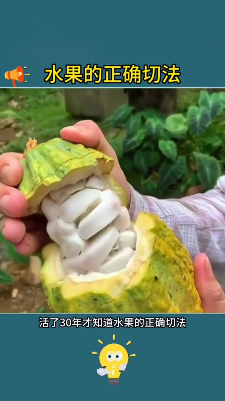 水果的正确切法大全