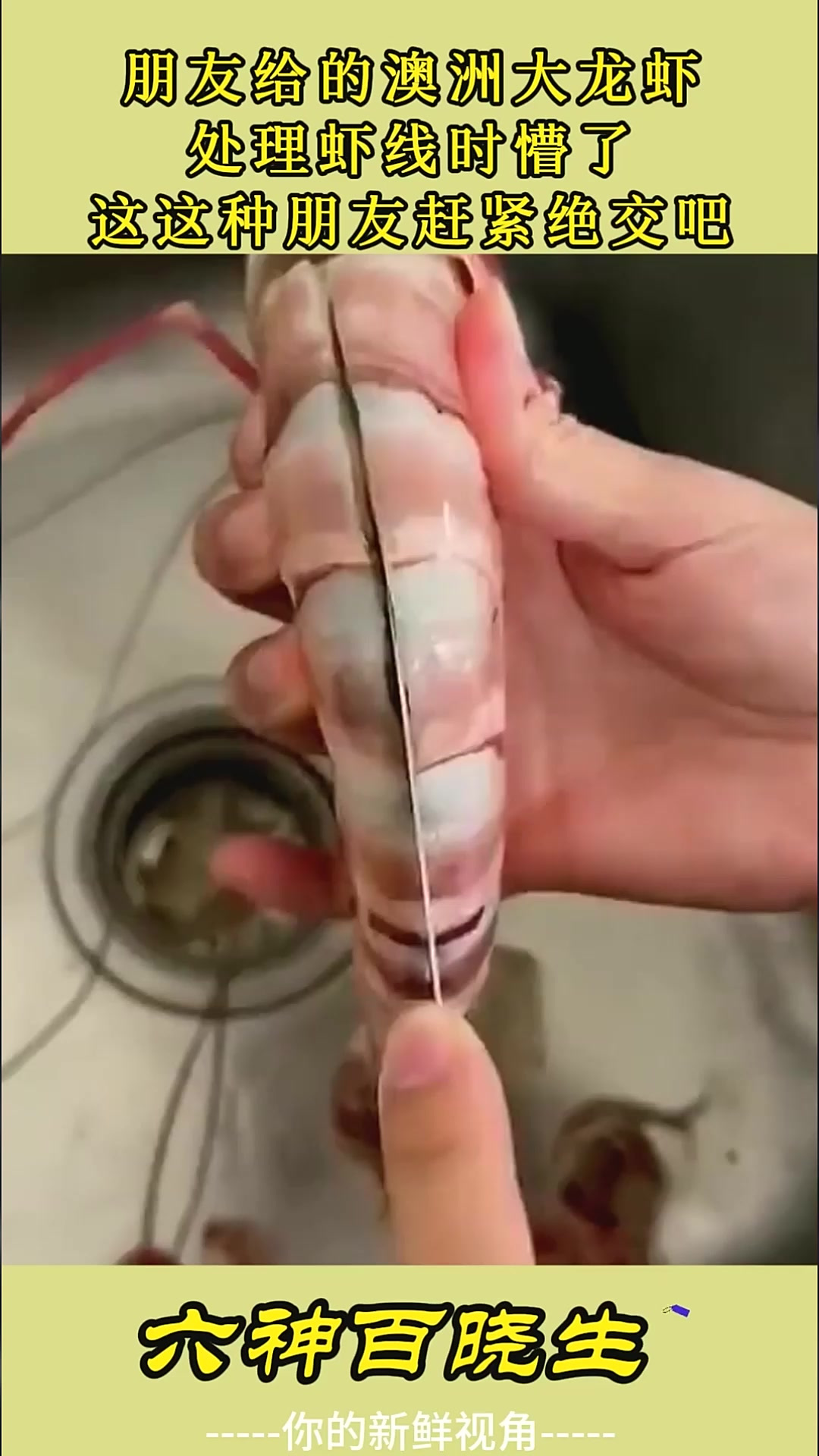 朋友给的澳洲大龙虾，处理虾线时懵了，这这种朋友赶紧绝交吧
