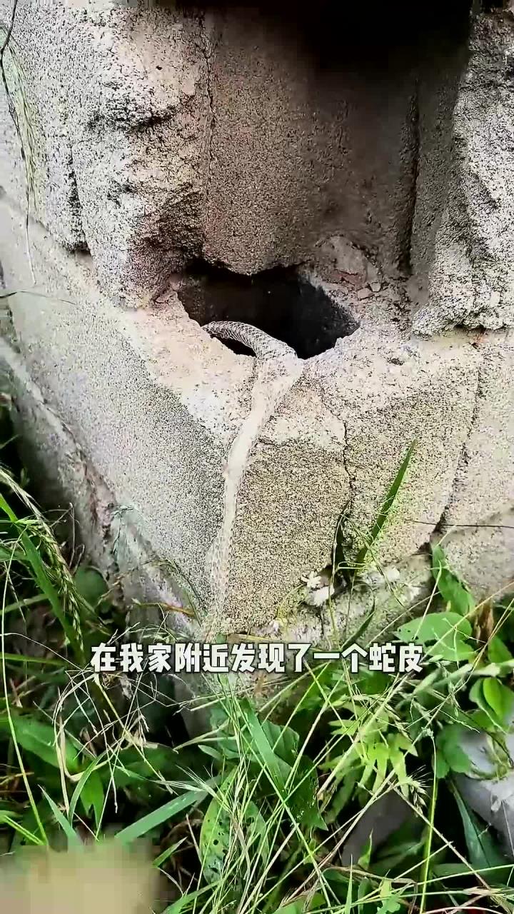 小时候在农村小院放鞭炮,笑声能把夜空点亮