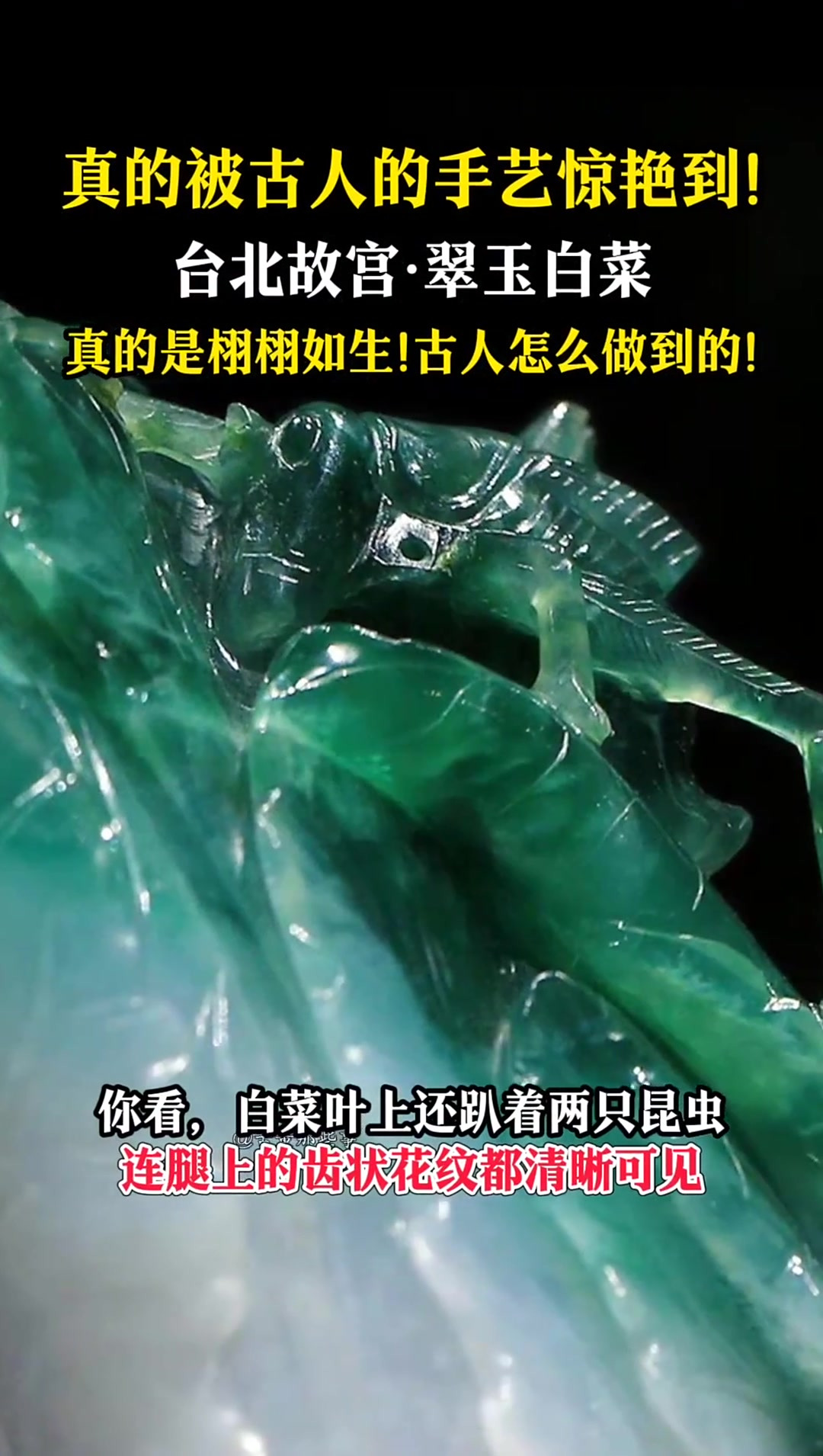 真的被古人的手艺惊艳到！台北故宫翠玉白菜，真的栩栩如生