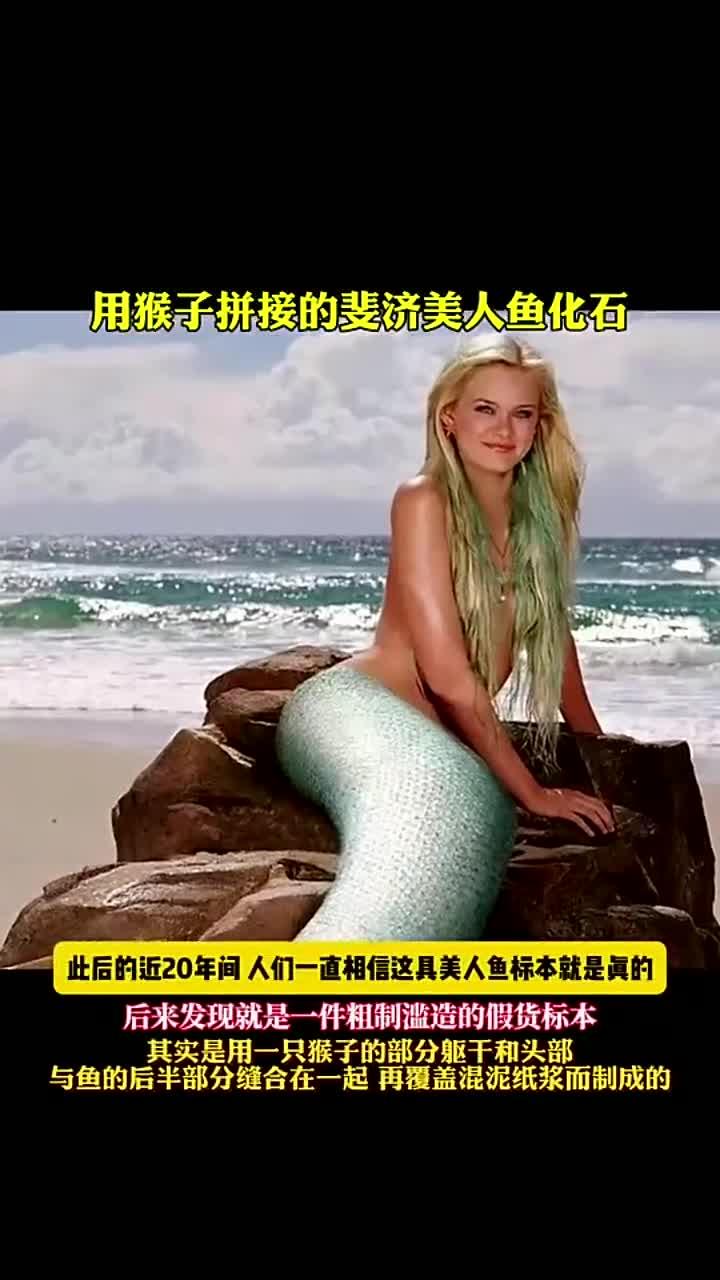 斐济发现的“美人鱼”竟是一件粗制滥造的假货标本
