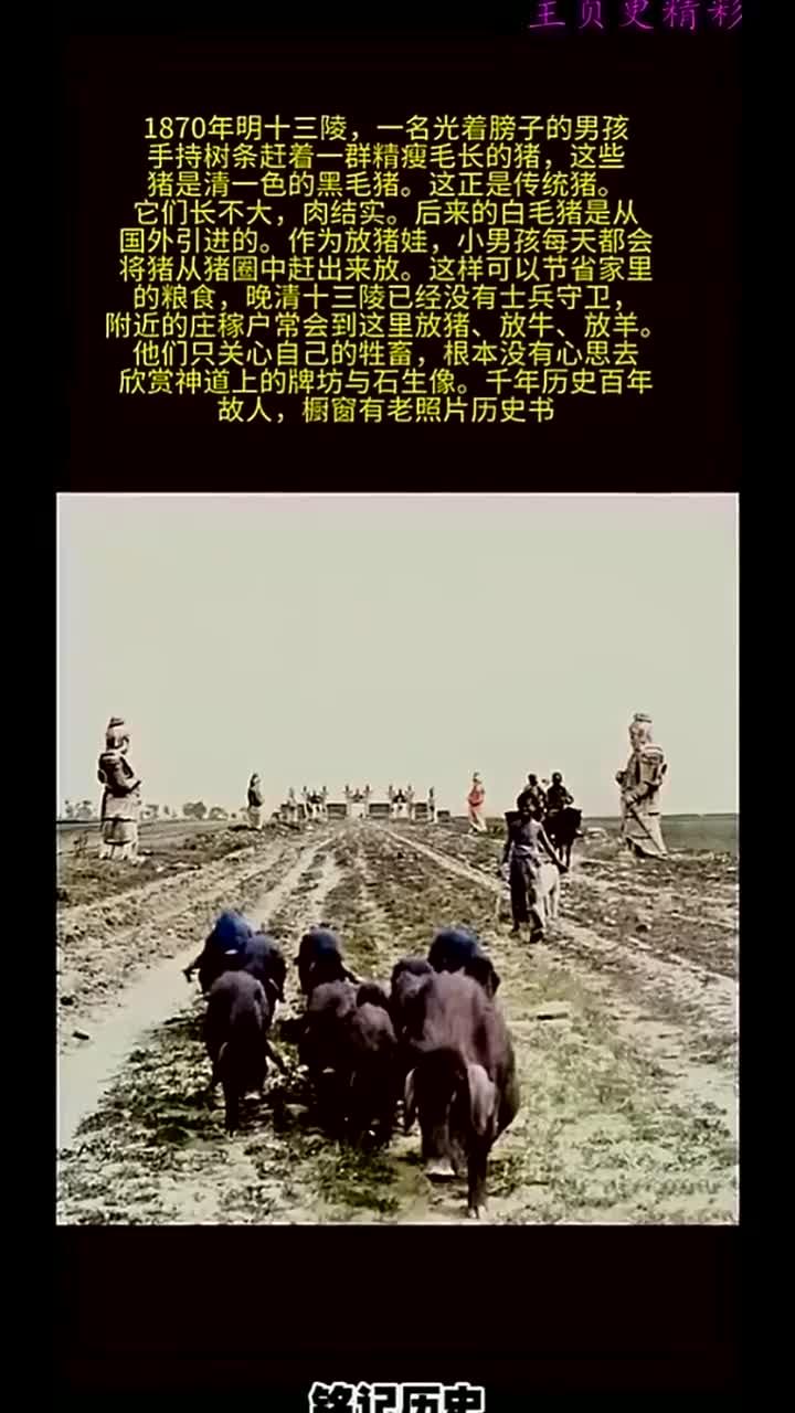 1870年明十三陵,一名赤膊男孩,生长停滞,肌肉发达