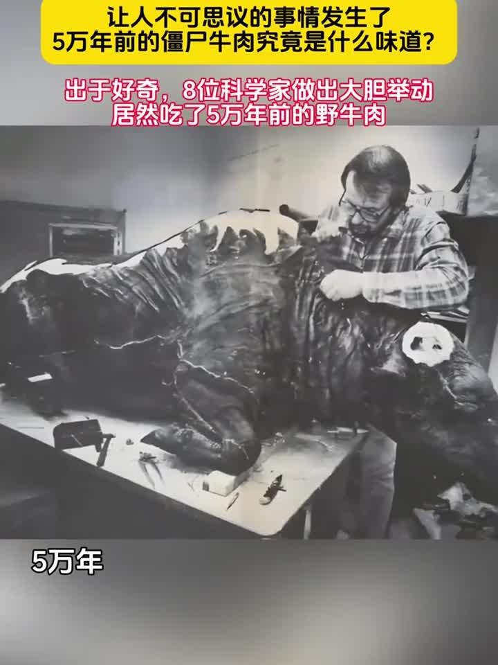 5万年前的僵尸牛肉是什么味道?8位科学家居然吃了5万年前的野牛