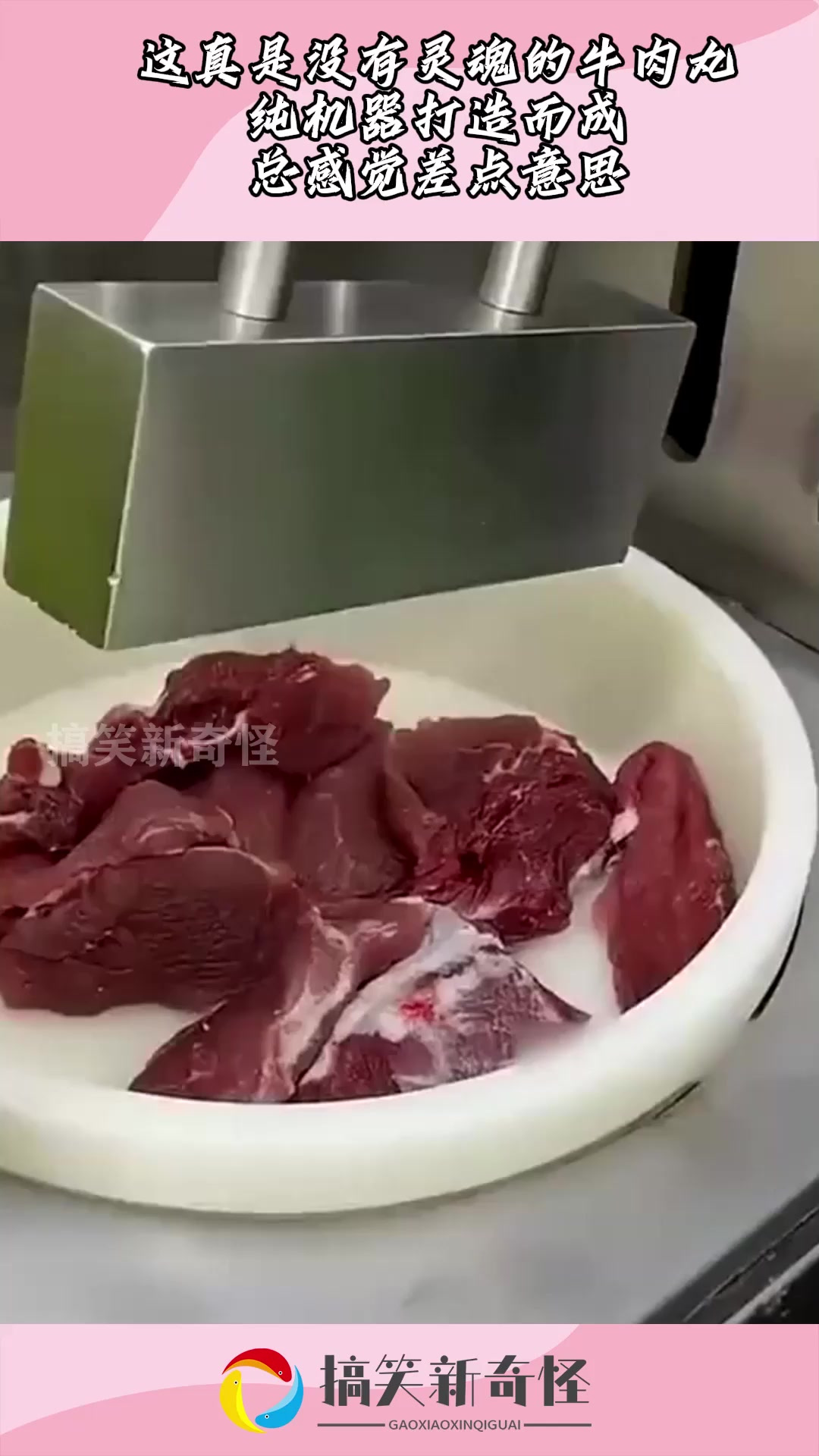 这真是没有灵魂的牛肉丸，纯机器打造而成，总感觉差点意思！