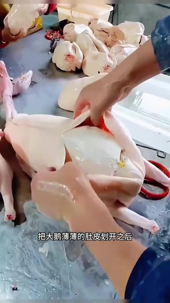 大鹅取鹅肝,鹅肝太大了,专业