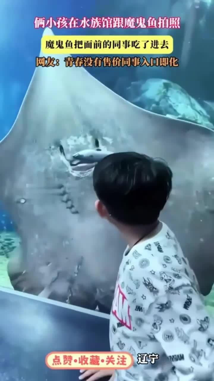 水族馆里，两小孩与魔鬼鱼合影，竟目睹其吞食同事