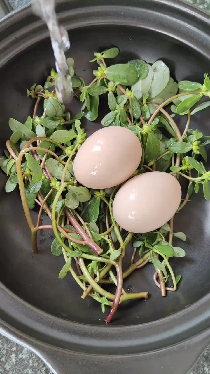 马齿苋煮鸡蛋，你了解它的价值吗？