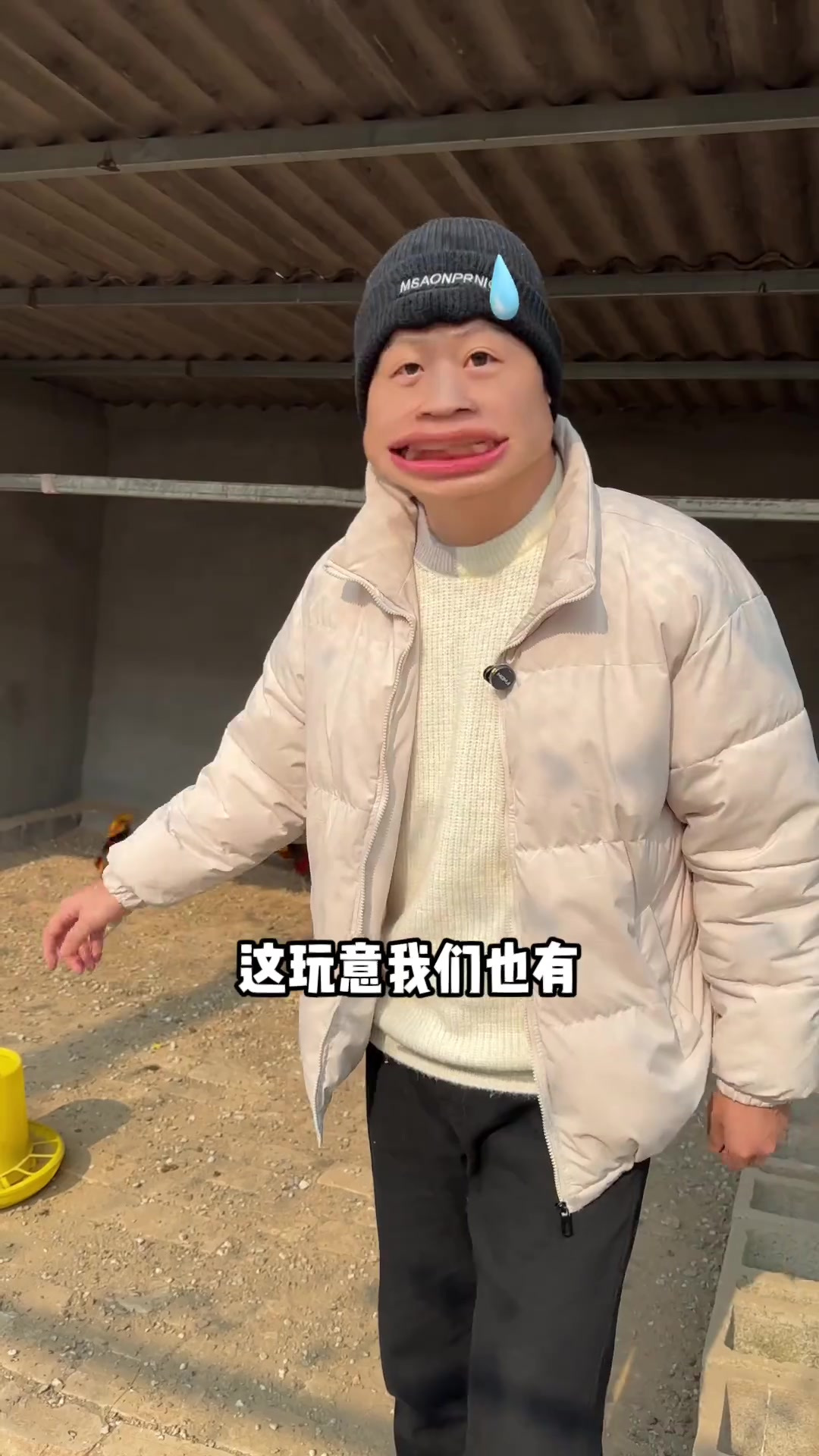 带你们了解一下，红腹锦鸡