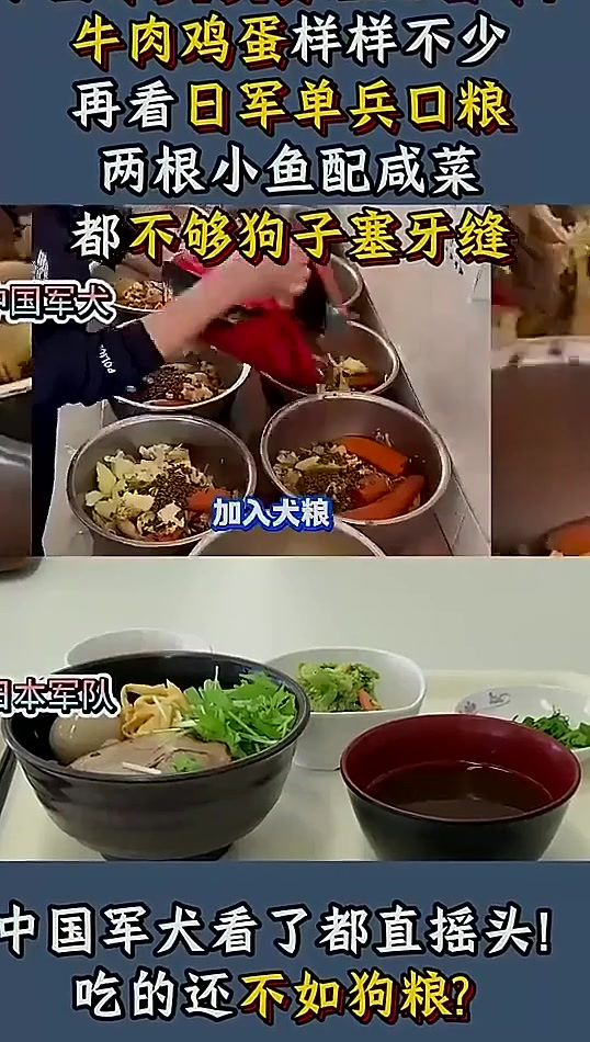 日本空军伙食有多差？不够中国军犬“塞牙缝”，涨知识了！