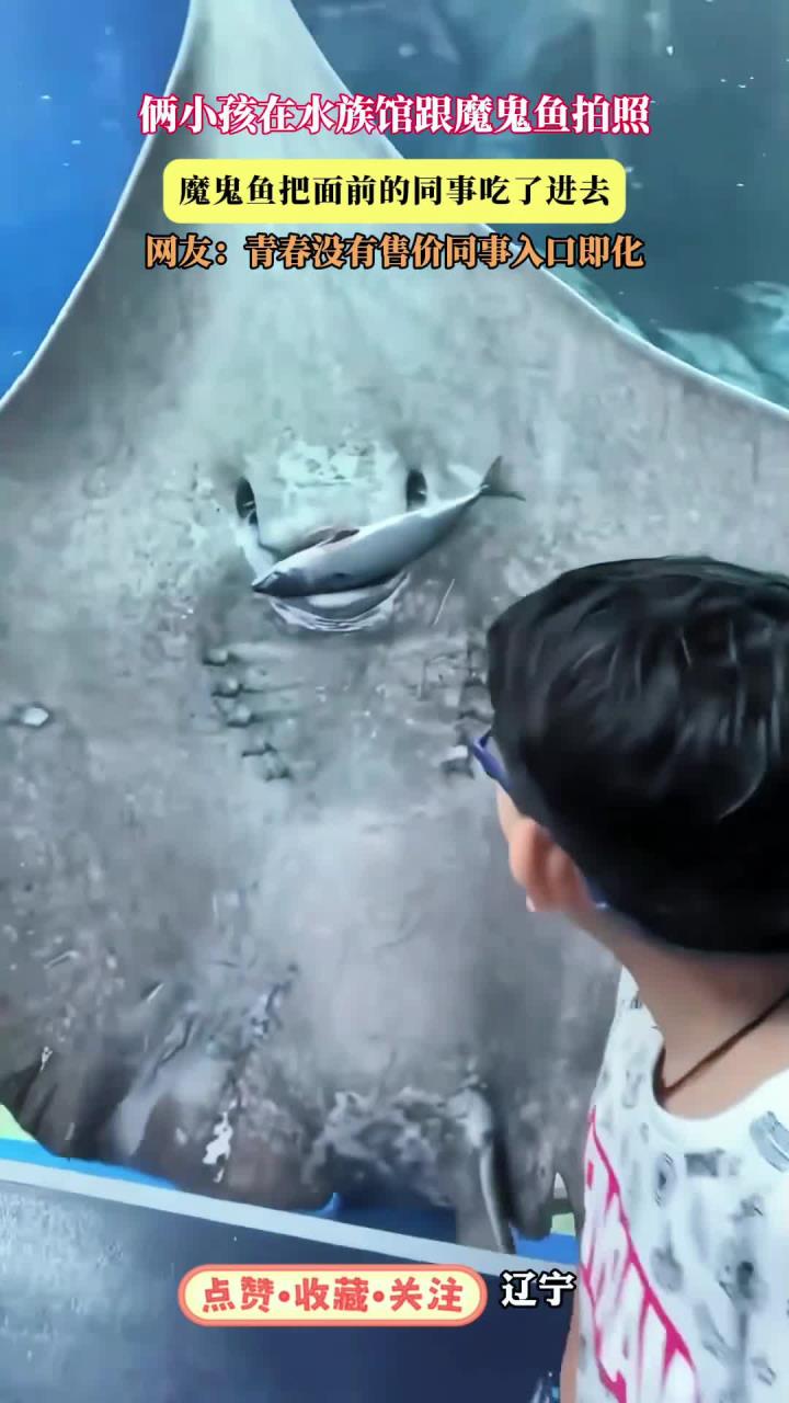 俩小孩在水族馆跟魔鬼鱼拍照，魔鬼鱼把面前的同事吃了进去