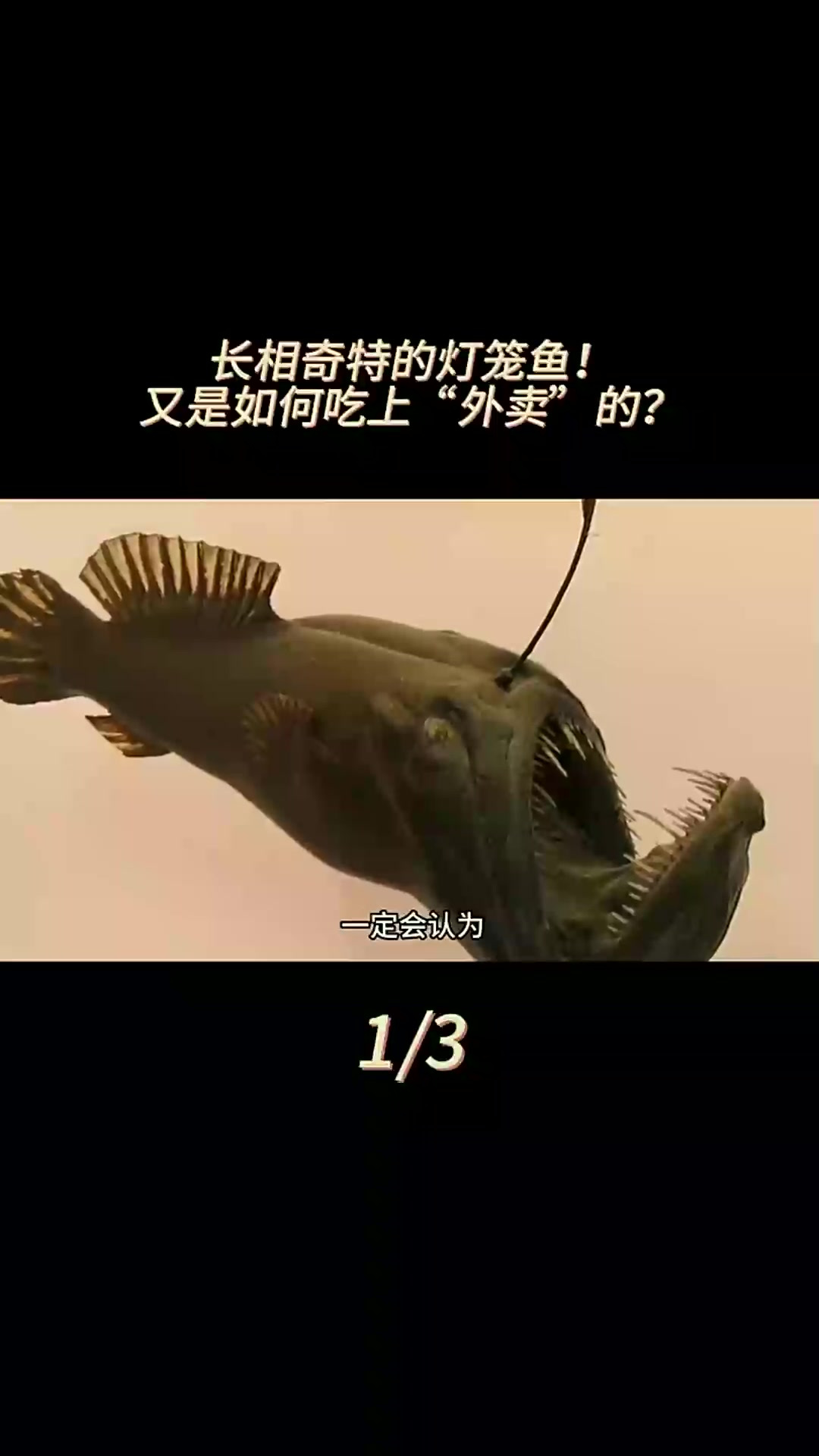 长相奇特的,如何吃上“外卖”的?还能靠雌鱼获得铁饭碗?