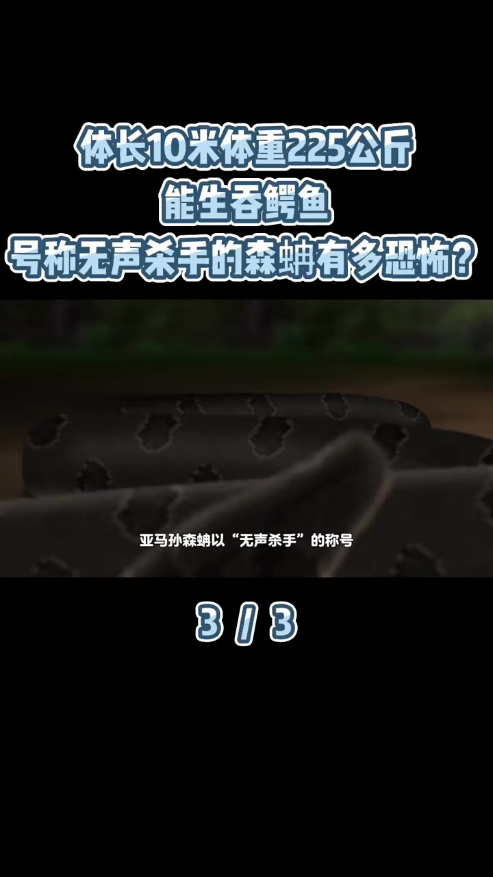 体长10米体重225公斤,能生吞鳄鱼,号称无声杀手的森蚺有多恐怖