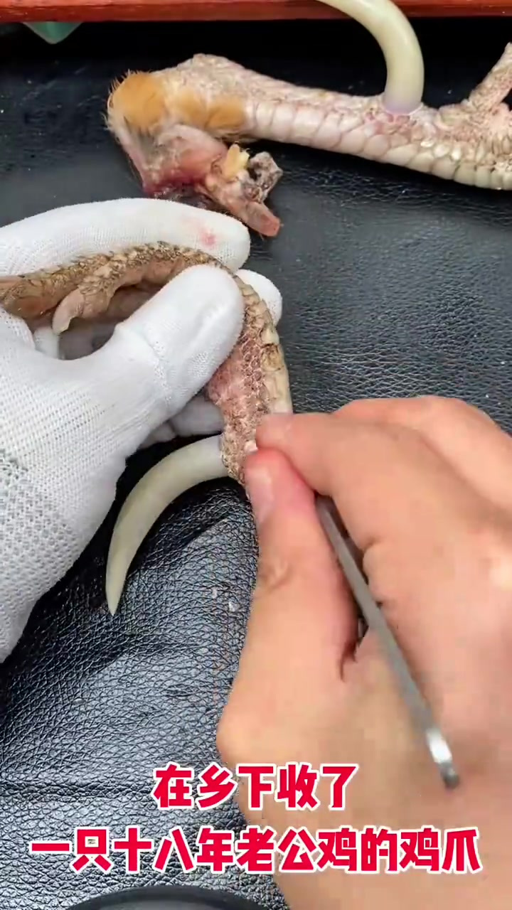 用这个爪子再换一只鸡,有没有人换?