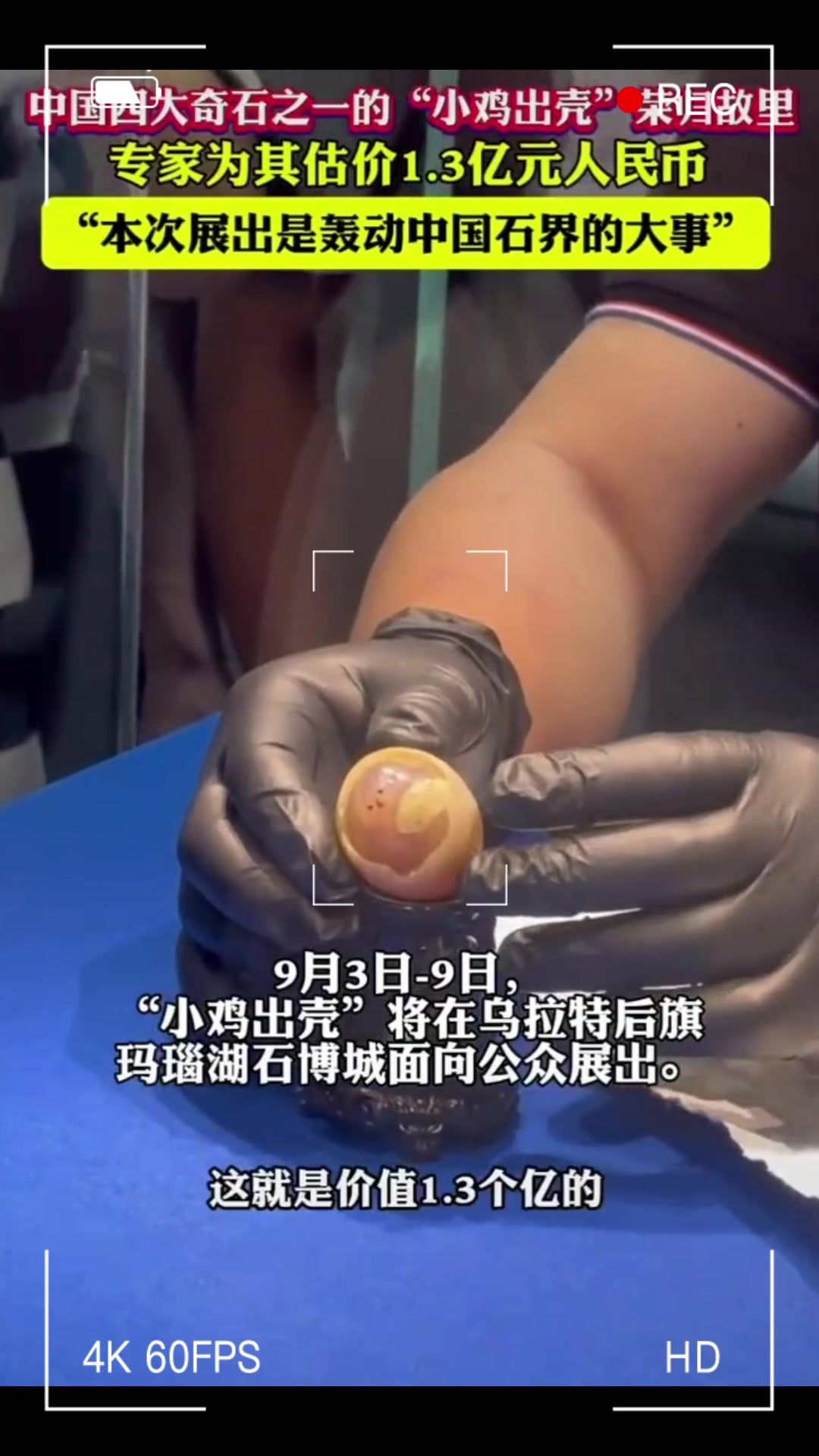 中国四大奇石之一“小鸡出壳”荣归故里,价值1.3亿