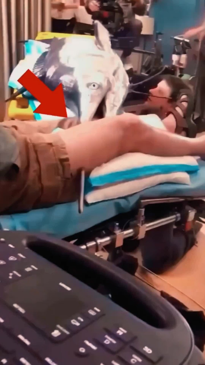 旗鱼刺穿男子的大腿