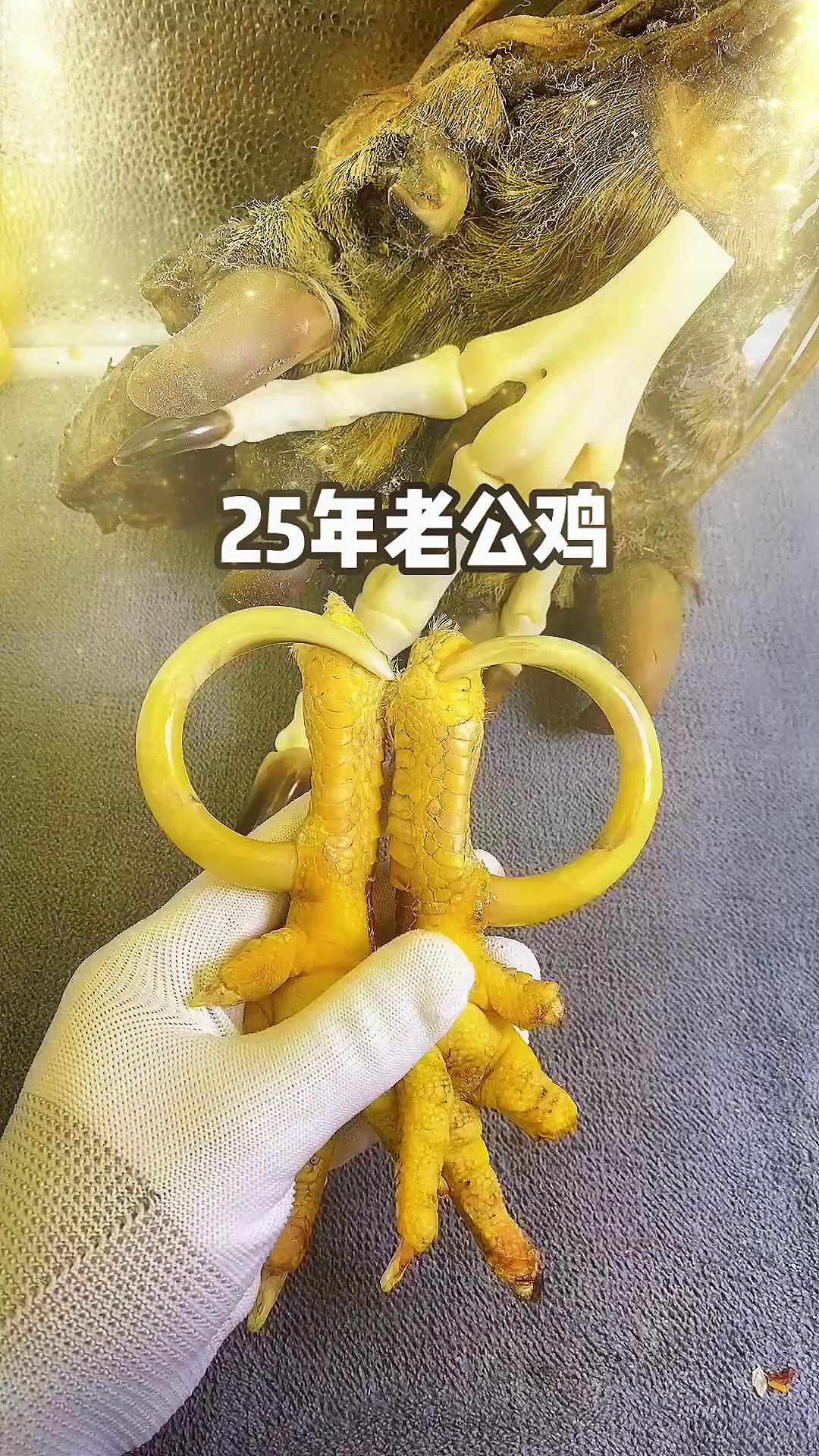 这么老的公鸡爪子,有人见过吗?