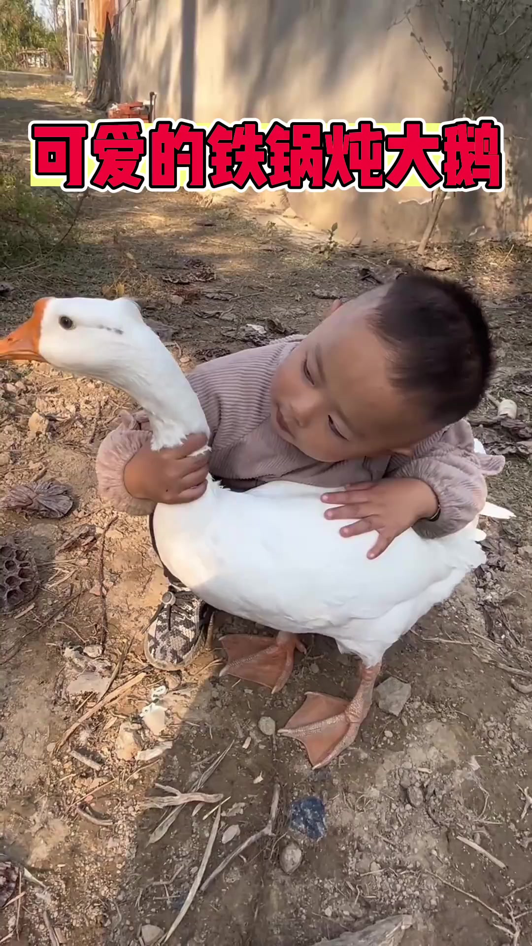 铁锅炖大鹅炖的是你不